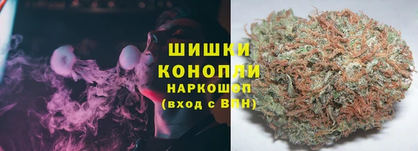 PSILOCYBIN Богородицк